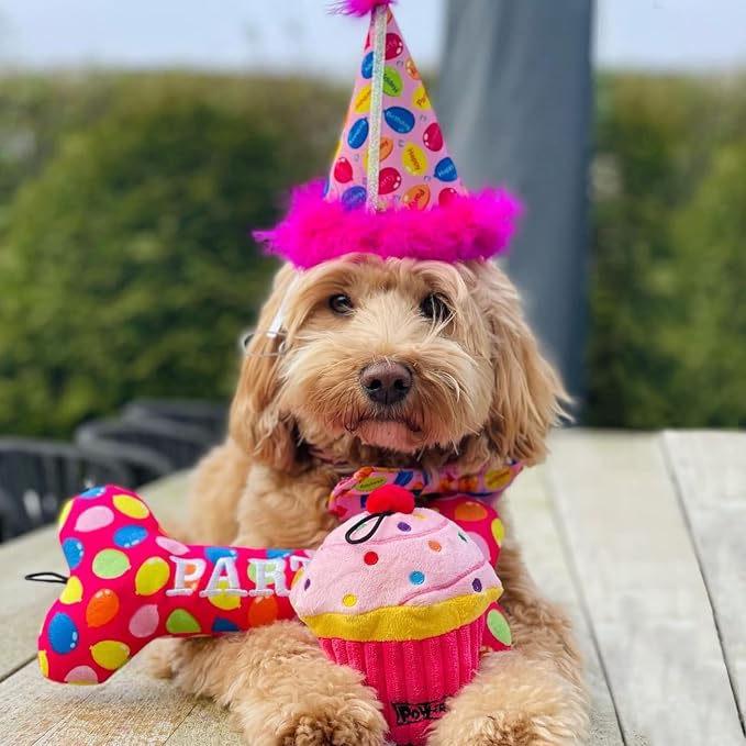 Huxley & Kent Funny Dog Toy w/Squeaker – Birthday Power Plush Squeaky Dog Toys for Small, Medium & Large Dogs – Soft Stuffed Animal for Indoor Play & Fetch - Party Time Blue Pink, Large