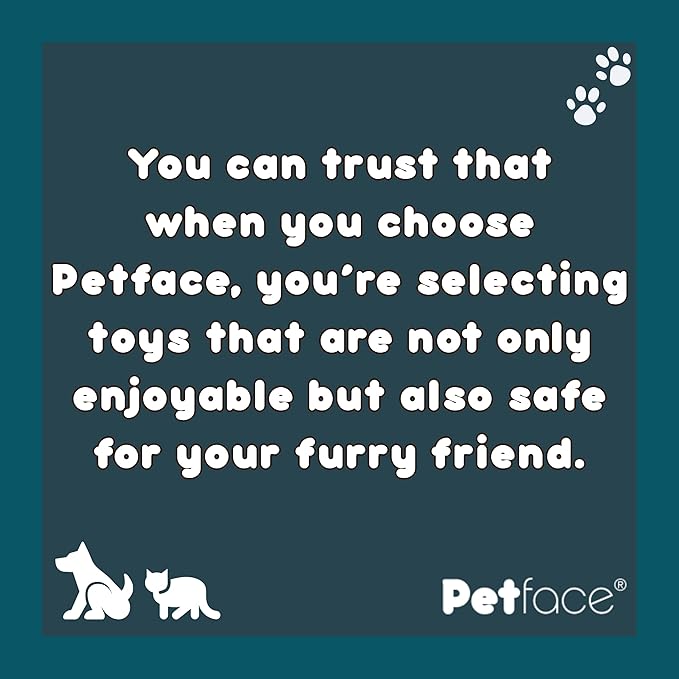 Petface (Toyz Play Ring Dog Toy, Blue/Green/Pink (One Colour Supplied at Random)
