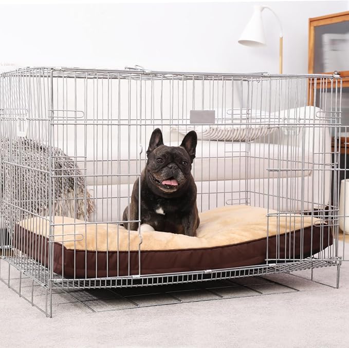 NUPIDA Waterproof Small Dog Bed for Crate with Washable Cover, 23x17, Brown | Cat Puppy Bed, TPU Waterproof Layer, Soft Plush Surface, Durable Oxford Fabric, Non-Slip Bottom, For Small Breeds ≤20lbs