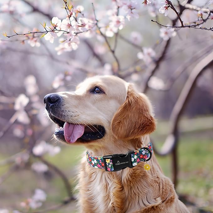 ARING PET Girl Dog Collar, Cute Spring Summer Floral Puppy Pet Collars for Small Medium Large Dogs-XS