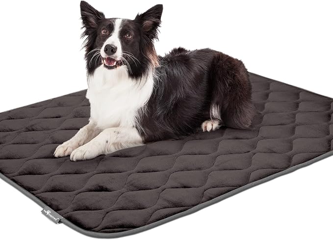 Paw Inspired Washable Padded Crate Mats for Dogs, Gray, 47x29 Inch | Fits 48-inch Kennels, Leakproof, Waterproof Bottom, Plush Dog Pad, Pet Bed