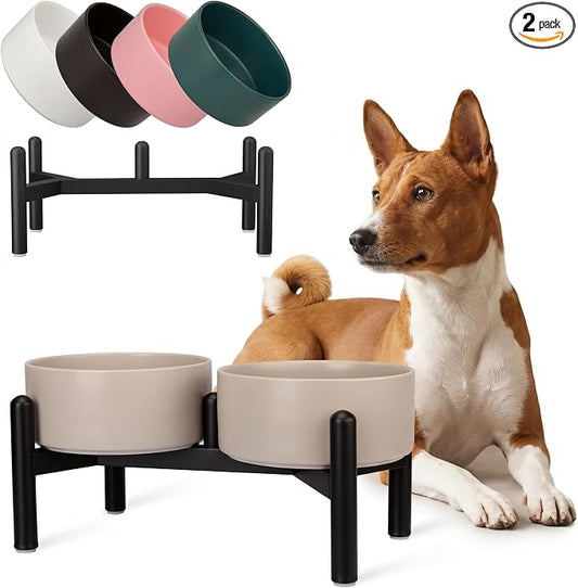 Raised Ceramic Dog Bowl Set - Elevated Double Dishes with Stainless Steel Stand - Food and Water Bowls for Small to Medium Dogs - Each Holds 3.5 Cups (29.57 fl oz) - Grey