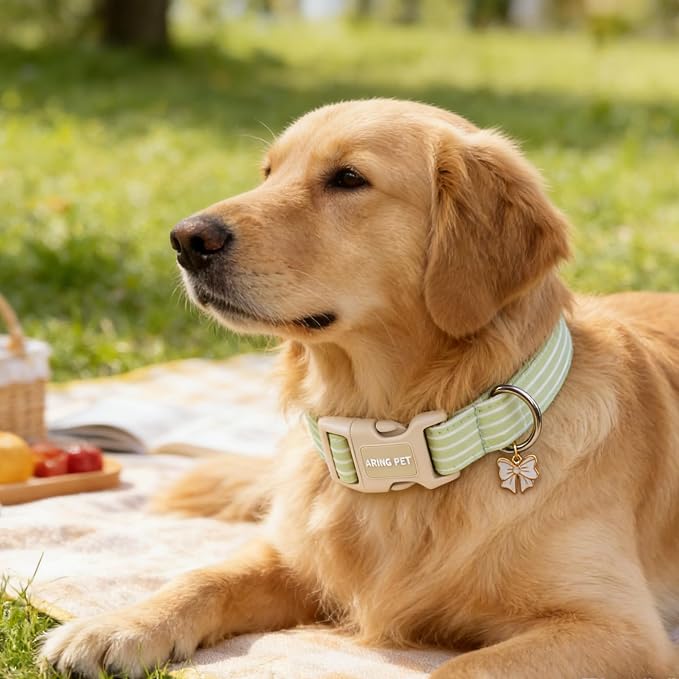 ARING PET Stripe Dog Collar, Cute Spring Summer Green Stripe Pet Collars with Bow Charm for Puppy Small Medium Large Boy Girl Dogs-S, for Daily Outdoor Walking Training