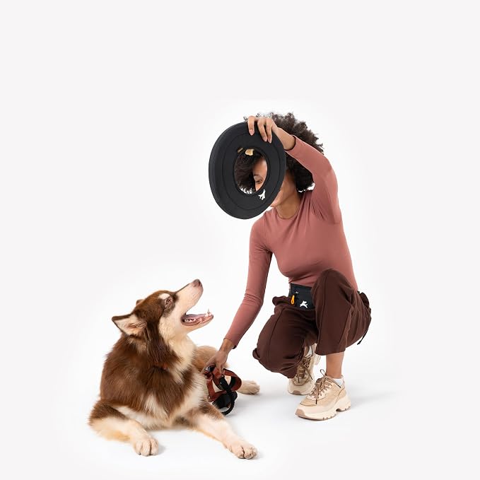 OllyDog Super Flyer Dog Flying Disc – Floating Fetch Toy for Water Play, Soft Eco-Friendly Recycled Fabric, Gentle on Teeth, 11" for Medium & Large Dogs (Raven, 11")