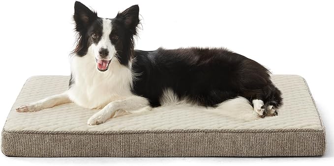 JOEJOY Orthopedic Dog Bed for Large Dogs, Washable Dog Crate Bed Large Sized with Removable Cover, Egg Memory Foam Big Pet Beds, Beige, 35"x22"
