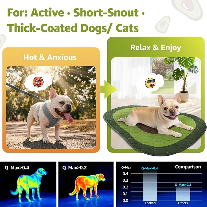 LOOBANI Dog Cooling Mat 40"x60"- Cute Avocado Design Cooling Mat for Dogs (Cool & Warm Side), Waterproof Self-Cooling Mat for Crate, Floor, Car for Medium Dogs, Cats, Pet, Green 40x60 in
