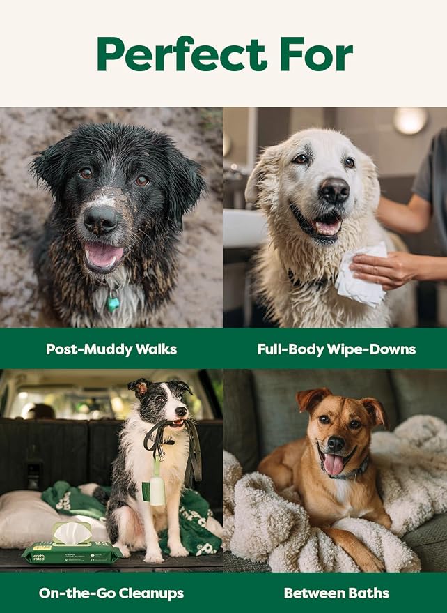 earth rated XL Pet Wipes for Dogs & Cats, Unscented Hypoallergenic, 60 Ct