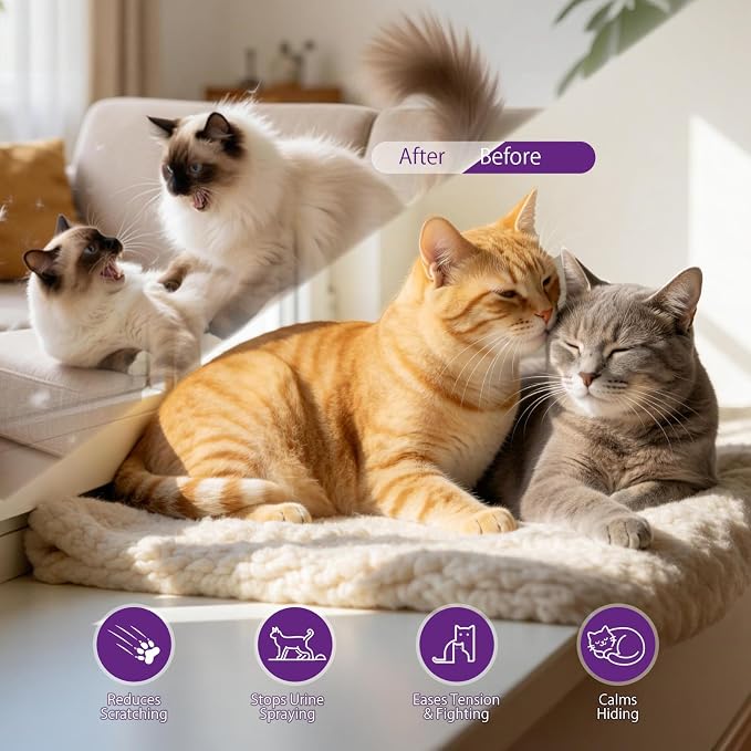 Cat Calming Pheromone Diffuser Set (Dual Zone Coverage) – 2 Diffusers + 2 x 48ml Refills – Helps Reduce Urine Spraying, Scratching & Fighting – Unscented Stress Relief for Multi-Room Homes