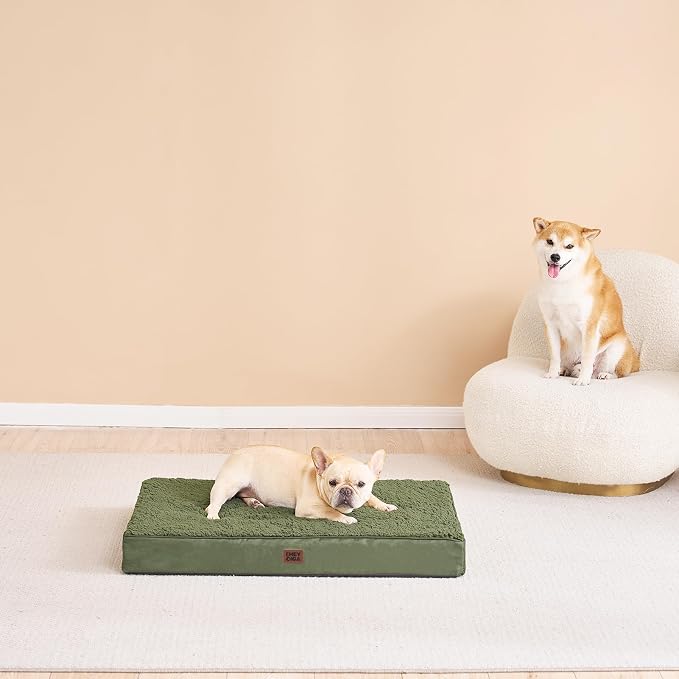 EHEYCIGA Orthopedic Dog Bed Medium with Removable Washable Cover, 30x20 | Egg Crate Foam Support, Durable Oxford fabric, Non-Slip Bottom, Machine Washable, Soft Waterproof Plush Pet Bed Mat For Crate