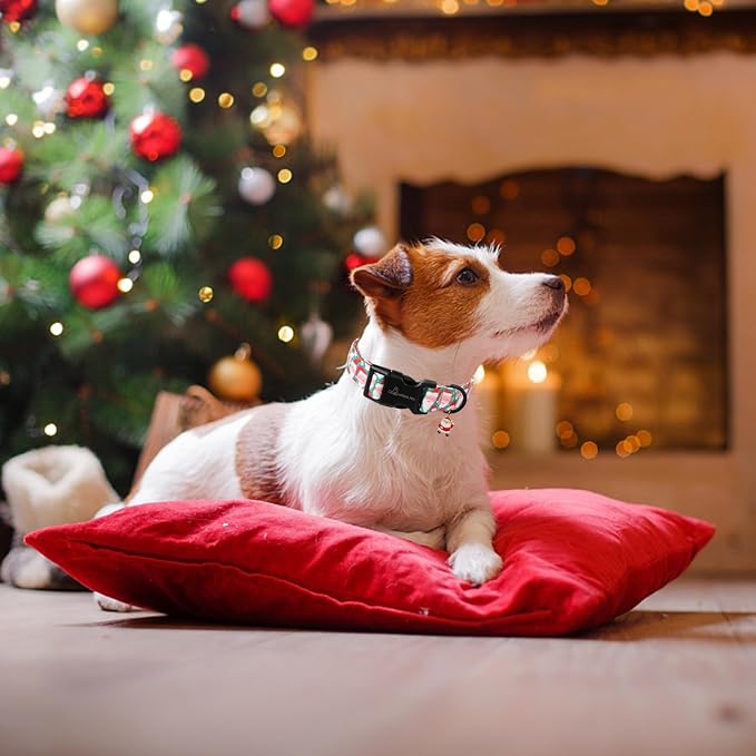ARING PET Christmas Dog Collar, Cute Green Santa Claus Adjustable Xmas Pet Collars Puppy Collar with Quick Release Buckle for Girl&Boy Dogs-L