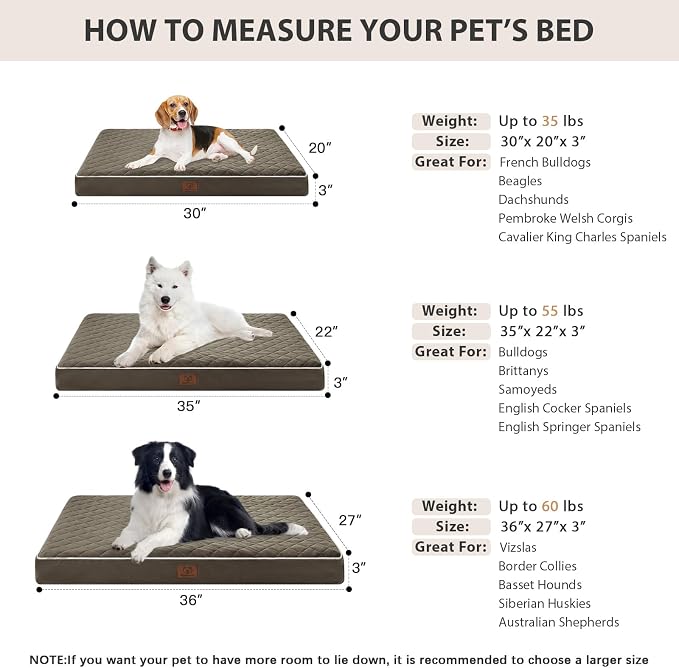 WNPETHOME Orthopedic Waterproof Large Sized Senior Dogs Bed for Comfy Sleep | Washable Ped Bed with Removable Cover, Multi-Needle Quilting Large Dogs Crate Bed for Dog Relax, Dark Green 36x27 Inch