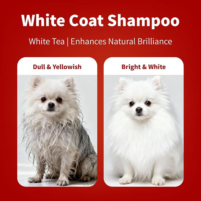 Arf Arf Whitening Dog Shampoo for White Dogs – Removes Yellowing for Maltese, Samoyed & Bichon Frise – Whitening Shampoo for Dogs with Oatmeal – Brightens White Fur – 16oz