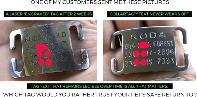 Boomerang Tags Dog Tags Engraved for Pets - Lasts Your Pets Lifetime - Silent Pet Tag, Dog Name Tag Personalized, Durable Stainless Steel Custom ID (Open End Large for 1 Inch Snap Style Collars)