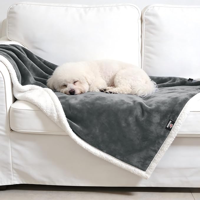 Kritter Planet Dog Blankets for Small Dogs, Soft Puppy Blanket, Pet Blankets for Cats, Lightweight & Washable, Perfect for Dog Beds, Car Seats, Creat, 30x40 inches
