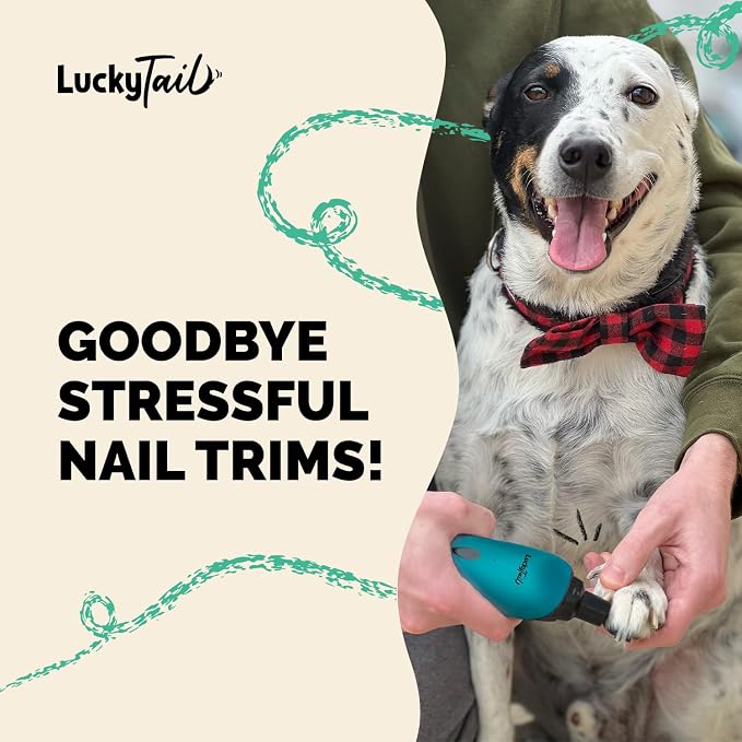 Pet Nail Grinder for Dogs and Cats - Super Quiet and Low Vibration Electric Dog Nail Grinder with 2 LED Lights - USB Rechargeable and Cordless - 2 Speeds - Small to Large Pets - Teal