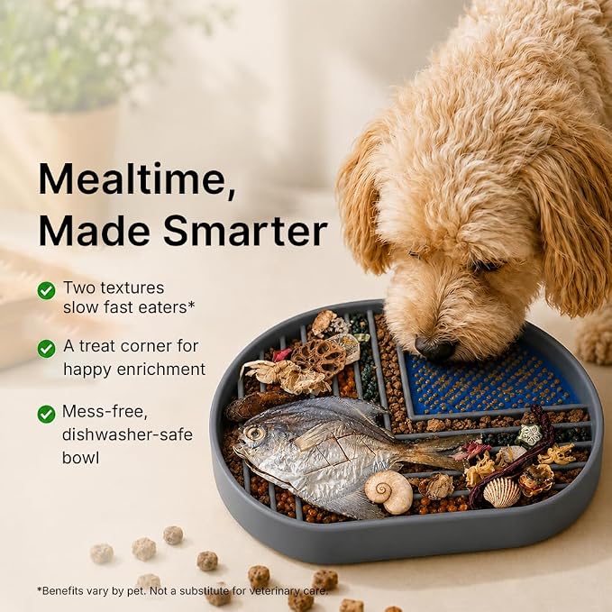 Snack Dish Slow Feeder Bowl for Dogs & Cats – Dual Pattern Design with Treat Corner, Mess-Free Feeding, Dishwasher Safe | Kubi Pets | (Gray)
