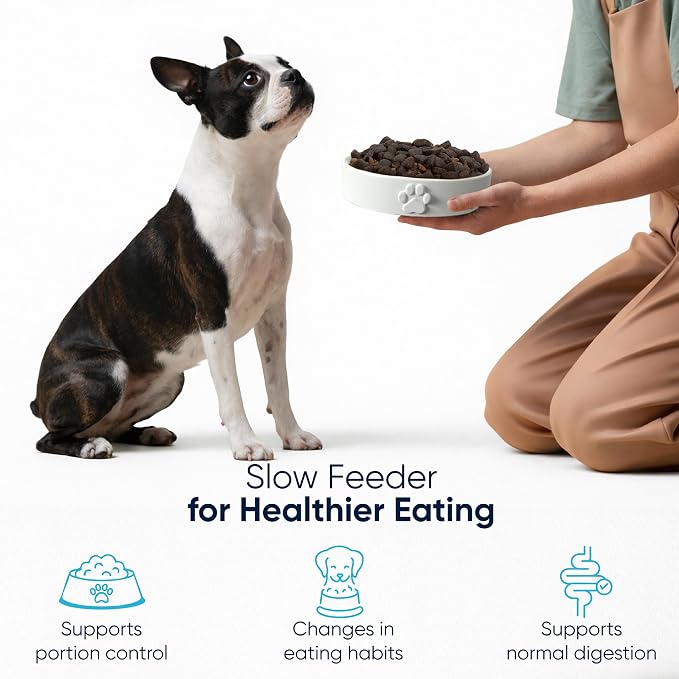Slow Feeder Dog Bowls – 1.5-Cup Ceramic Dog Bowl Slow Feeder – Microwaveable Dog Slow Feeder for Small and Medium Dogs – Lead and BPA-Free Ceramic Pet Bowl – Pet Feeder for Fast Eaters
