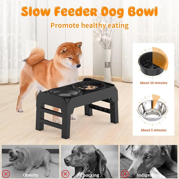 URPOWER Raised Dog Bowls 4 Height Adjustable Elevated Bowl Stand | Stainless Steel Water Bowl Non-Slip Dog Food Bowls Stand for Small Medium Large Dogs and Pets