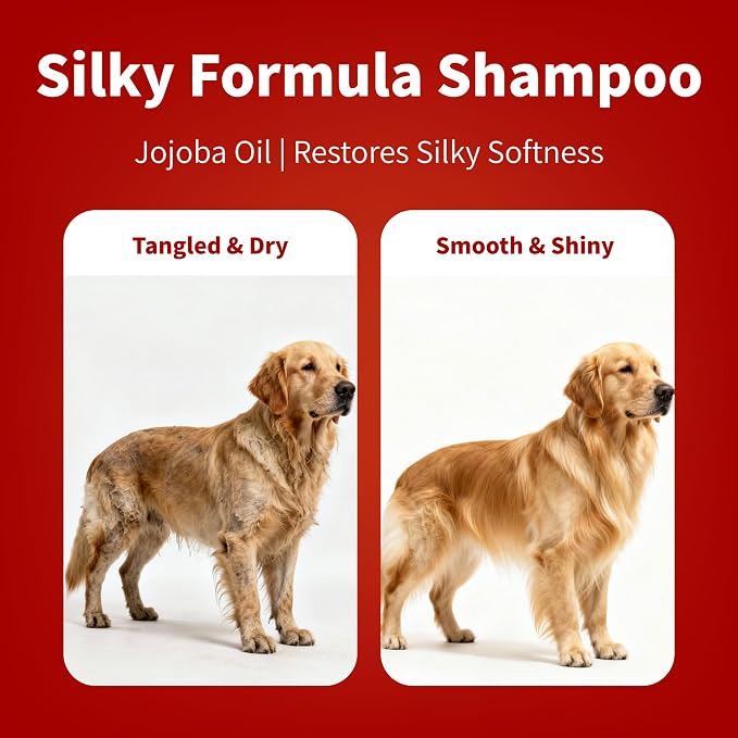 Arf Arf Silky Coat Dog Shampoo – Jojoba & Honey, Long Hair, Yorkies, 16.9oz | Jojoba & Honey for silky, tangle-free long coats. Lasting fresh scent. pH-balanced. Ideal for Yorkies, Spaniels & Maltese.