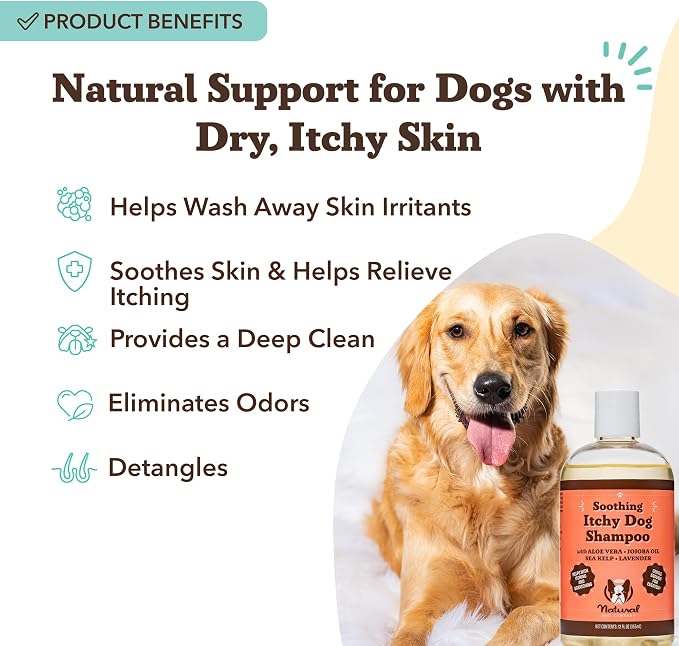 Natural Dog Company Itchy Dog Shampoo for Dogs – Hypoallergenic Dog Shampoo for Itchy Skin Relief, Aloe Vera, Jojoba, Sea Kelp, Lavender & Eucalyptus, Sulfate & Paraben Free, 12 oz