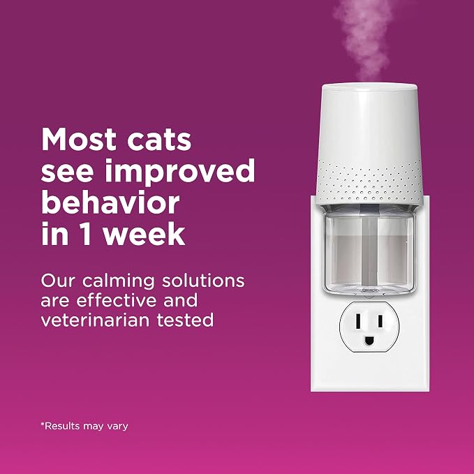 Comfort Zone Multi Cat Calming Diffuser Refill–Pheromone Refills Help Reduce Anxiety, Stress, Scratching, Urine Marking, Multi-Cat Aggression,(30-Day Refills, 1 Year Supply)(Pack of 12)