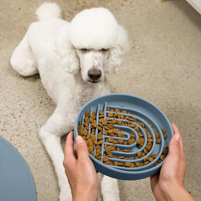 Should We Go? Slow Feeder Dog Bowls - Large Size Silicone Slow Eating Dog Bowl for Puppies & Dogs with Suction Cup -Dishwasher-Safe, Lick Mat Design, Reduces Gulping,for All Breeds,9.5”x1.5”- Ocean