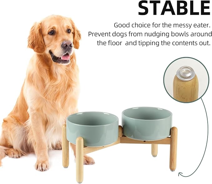 Havniva 7.3inch Ceramic Raised Dog Bowl with Stand, Double Dog Bowls Elevated for Medium Breed Dog Food and Water Bowl Set Non-Slip Dog Dish Large Capacity Feeding Pet Water Bowl