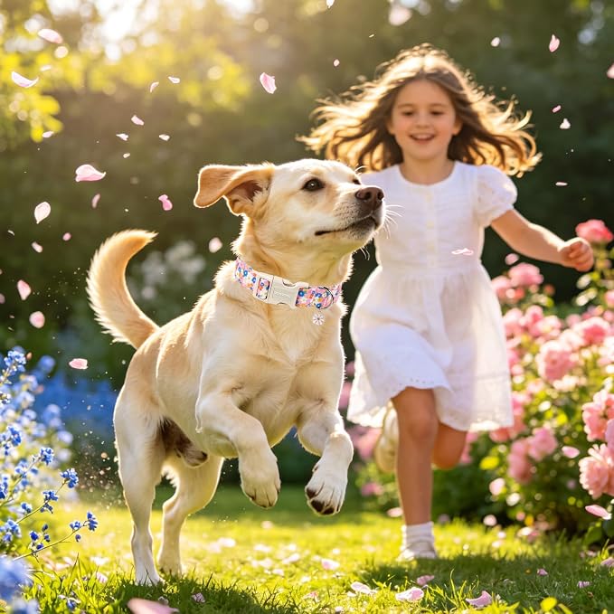 DOGWONG Pink Floral Dog Collar, Spring Summer Pretty Cute Girl Dog Collar,Girl Female Dogs Collars for Small Medium Dogs, Neck 14-21 inches