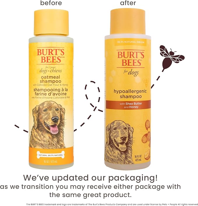 Burts Bees for Pets Hypoallergenic Dog Shampoo, 16 Fl Oz, 6-Pack | Suitable for dogs with allergies, fragrance-free formula, 95% natural origin, sensitive skin and coat