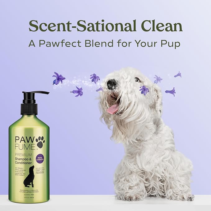 PAWFUME Dog Shedding Shampoo and Conditioner, Royal Lavender, 1-Pack | Probiotic pH-balanced deep-cleaning formula nourishes and detangles silky coats, salon-quality Shedding Shampoo for Dogs