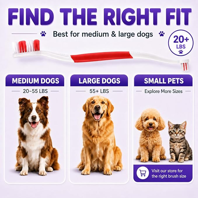Dog Toothbrush, Dual-Head, for Medium-Large Dogs, Red | Soft Bristles for Gentle Cleaning, 60° Curved Bristles for Better Coverage, Comfortable for Sensitive Gums