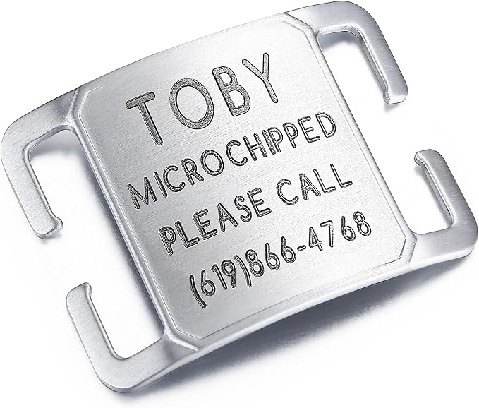 Rugged & Refined: Immovable Slide-On Pet ID Tag - Silent No-Noise Design - Deep Laser Engraved Horology-Grade Steel - Extra Large | Brushed Stainless Steel