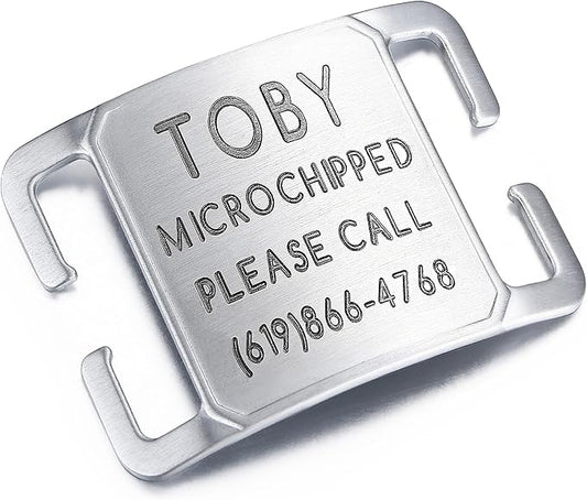 Rugged & Refined: Immovable Slide-On Pet ID Tag - Silent No-Noise Design - Deep Laser Engraved Horology-Grade Steel - Extra Large | Brushed Stainless Steel