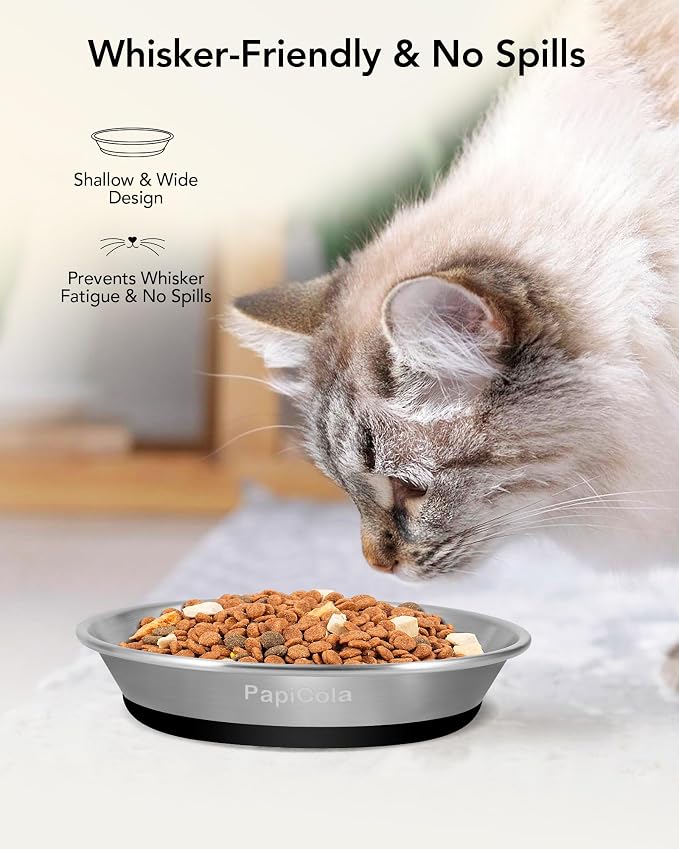 Stainless Steel Cat Bowl 1PC, Non-Slip cat Food Dishes, Metal Pet Food and Water Bowls, Whisker Friendly with Wide and Shallow Design, 6.3'' Wide, 0.7mm Thick Steel, Ideal Pet Dish (1 PC-6.3in)