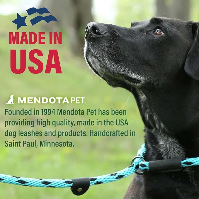 Mendota Pet Slip Leash - Dog Lead and Collar Combo - Made in The USA - Blue, 1/2 in x 6 ft - for Large Breeds