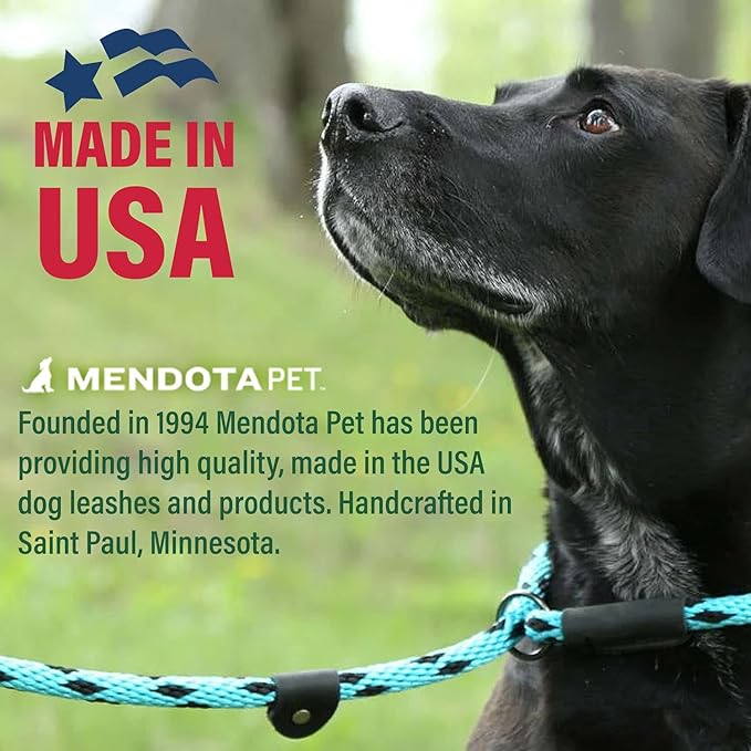 Mendota Pet Slip Leash - Dog Lead and Collar Combo - Made in The USA - Harvest, 1/2 in x 4 ft - for Large Breeds