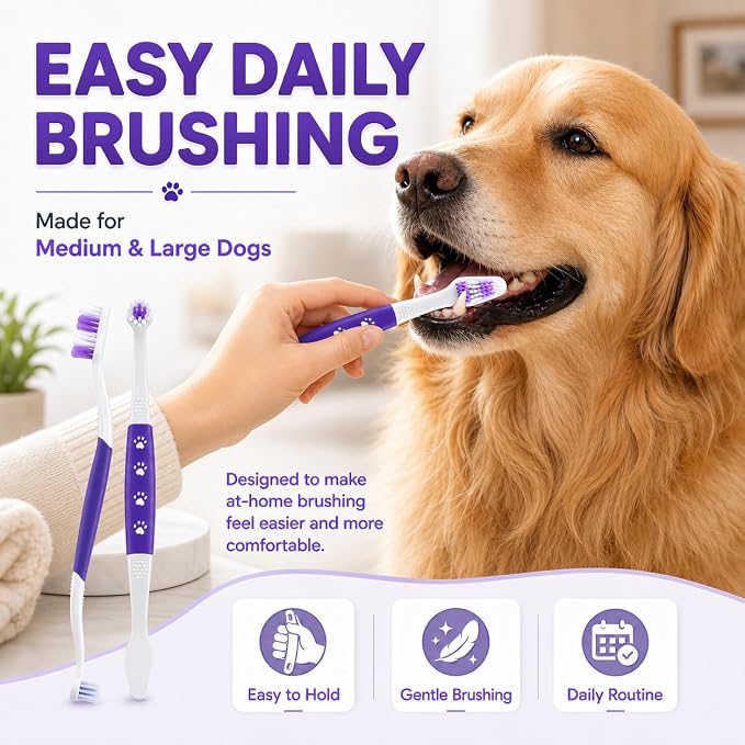 Dog Toothbrush, Dual-Head, for Medium Large Dogs, Purple | Soft Bristles for Gentle Cleaning ,60° Curved Bristles for Better Coverage ,Comfortable for Sensitive Gums