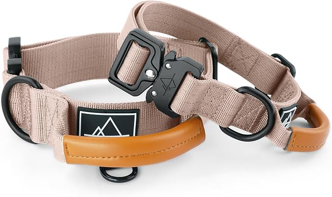 MADE TO ROAM Premium Explorer Control Collar - Adjustable Heavy Duty Nylon Dog Collar with Quick-Release Metal Buckle and Leather Handle (Utah Glow, Size 2, Control)