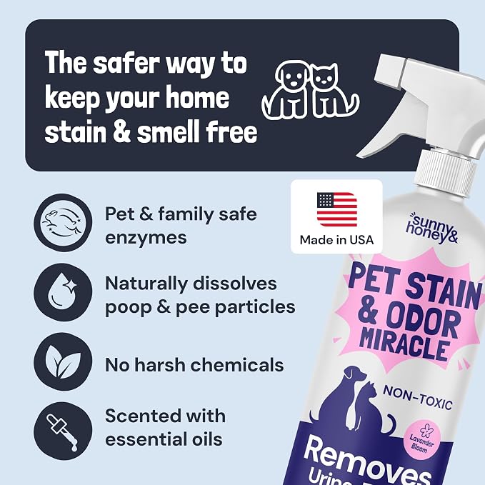 Sunny & Honey Pet Stain and Odor Remover Spray for Carpets, 32floz Lavender | USA Made - Enzyme Cleaner for Dog Urine & Poop - Eliminates Set In Stains - Color Safe - For Rugs, Furniture & Car Seats