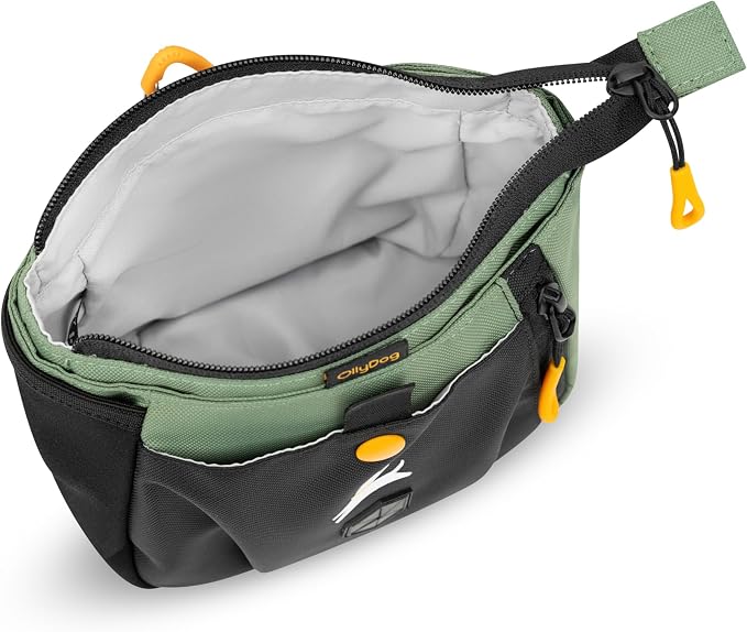 Backcountry Day Bag | Dog Training Treat Pouch | Eco-Friendly Recycled Fabric Fanny Pack with Zipper Closure, Built-in Poop Bag Dispenser & Adjustable Waist Belt (Olivine)