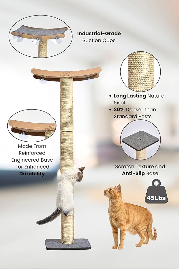Cat Scratching Post with Perch for Large Cats – Modern Hammock Window Bed, Strong Suction Cups, Durable Eco, Space Saving Furniture for Indoor Cats