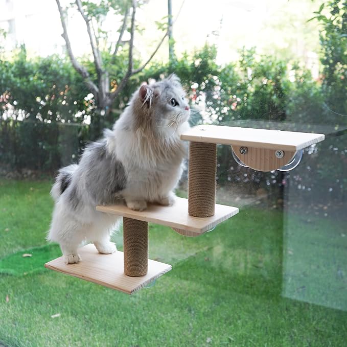 Cat Window Ladder 3-Levels for Indoor Cats, Climbing Window Shelf | with Strong Suction Cups, for Bird-Watching & Play, Space-Saving