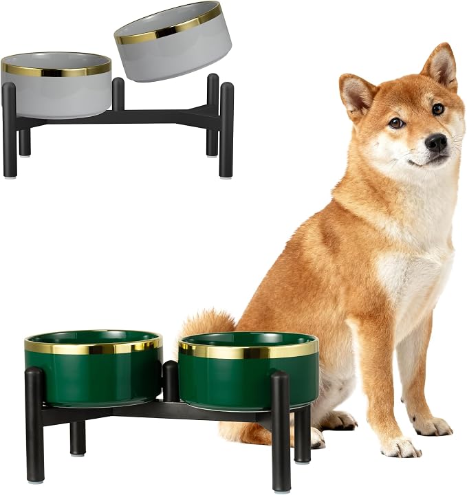 Ceramic Elevated Dog Bowl Set - Dog Feeder Station with Double Bowls for Small and Medium Size Breed - Non-Slip Raised Dish for Food and Water Feeding- 6 Inch - 3.5 Cups / 22 fl oz - Green