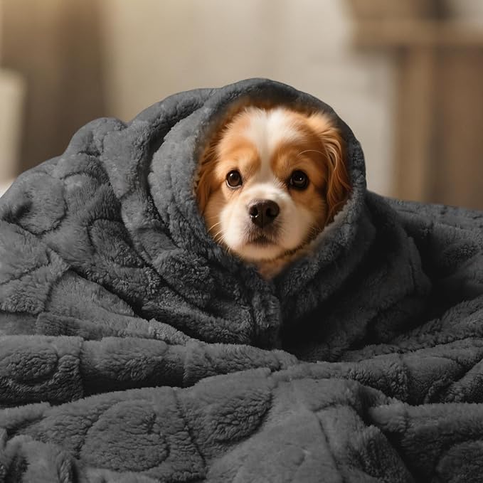 Luciphia Waterproof Dog Blanket for Medium Large Dogs Washable Bed Couch Protector Soft Fluffy 3D Heart Jacquard Pet Blanket with Sherpa Fleece Cozy Calming Throw Blankets，Grey 85x57 inch