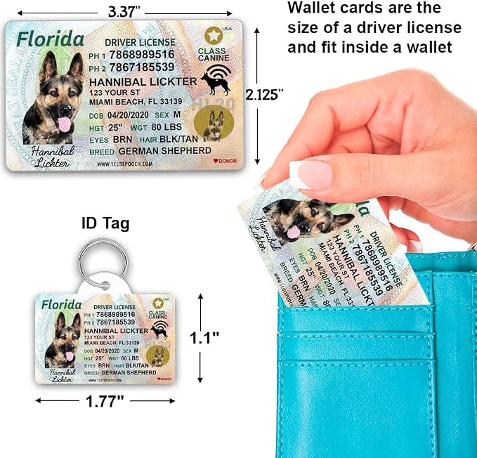 Florida Driver License Custom Dog Tag for Pets and Wallet Card - Personalized Pet ID Tags - Dog Tags for Dogs - Dog ID Tag - Personalized Dog ID Tags - Cat ID Tags - Pet ID Tags for Cats