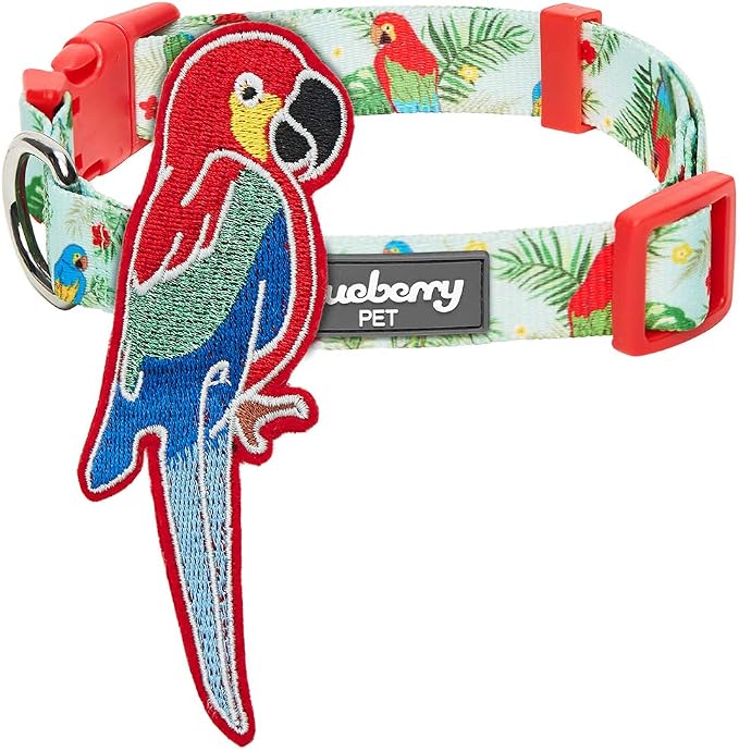Blueberry Pet 10 Patterns Fun Parrot Adjustable Dog Collar with Detachable Décor, Small, Neck 12"-16"