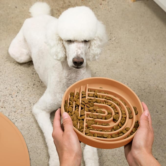 Should We Go? Slow Feeder Dog Bowls - Large Size Silicone Slow Eating Dog Bowl for Puppies & Dogs with Suction Cup -Dishwasher-Safe,Lick Mat Design,Reduces Gulping,for All Breeds,9.5”x1.5”-Terracotta
