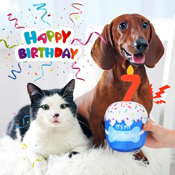 Dansydaisy Dog Birthday Cake Toy Squeaky Plush Toy for Girl Boy Gifts, Chew Accessories for Dog Birthday Party Decor Favor for Large, Medium and Small Dogs(7th,Blue)