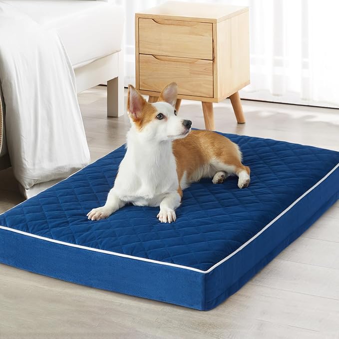 WNPETHOME Orthopedic Giant Human Dog Beds for Adult & Dog Cozy Sleep | Human Washable Waterproof Dogs Bed with Removable Cover, Multi-Needle Quilting Dogs Crate Bed for Relax , Blue 61x43 Inch