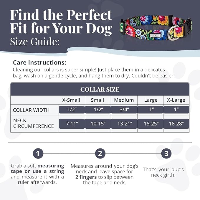 Lucky Love Dog - Easy Click Buckle Dog Collar with Leash Set Combo, Durable & Comfortable for Male & Female Dogs, Pet Collar for Medium Dogs, Secure Fit - Lilian Combo, Medium